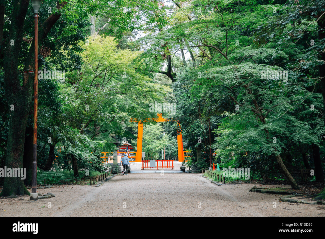 Shimogamo Shrine torii gate and forest in Kyoto, Japan Stock Photo - Alamy