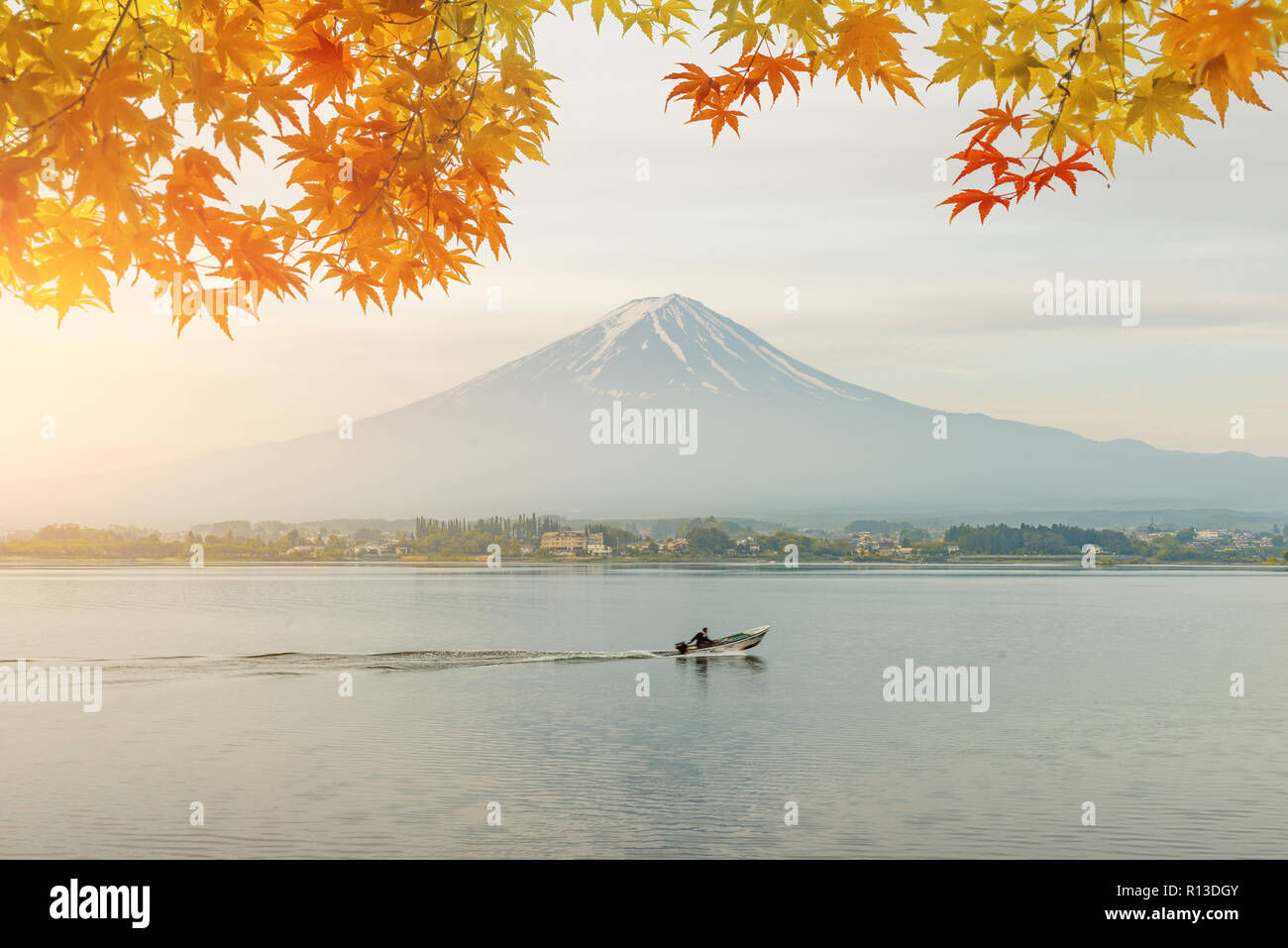 Autumn season and mountain Fuji in morning with red leaves maple at lake Kawaguchi, Japan. Autumn season in Japan. Stock Photo