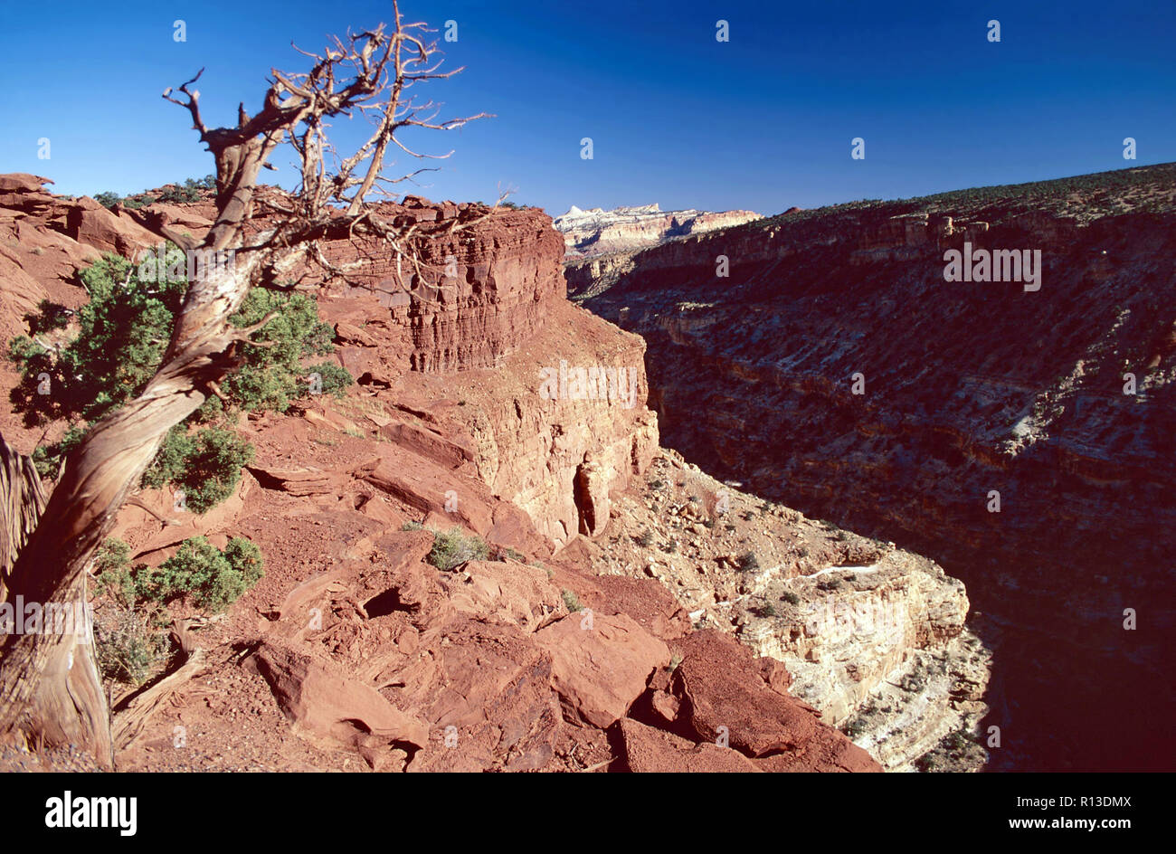 Capitol reef capitol reef national park hires stock photography and