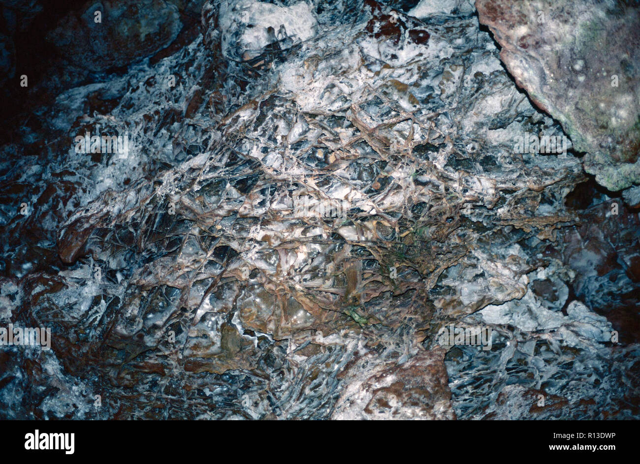Boxwork Wind cave national park hi-res stock photography and images - Alamy