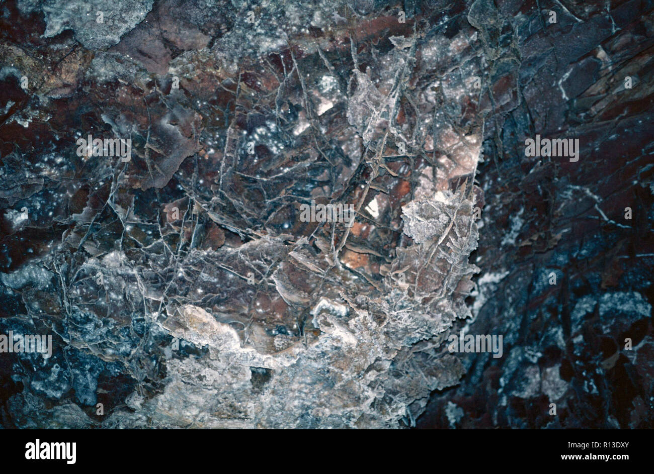 Boxwork formation,Wind Cave National Park,South Dakota Stock Photo