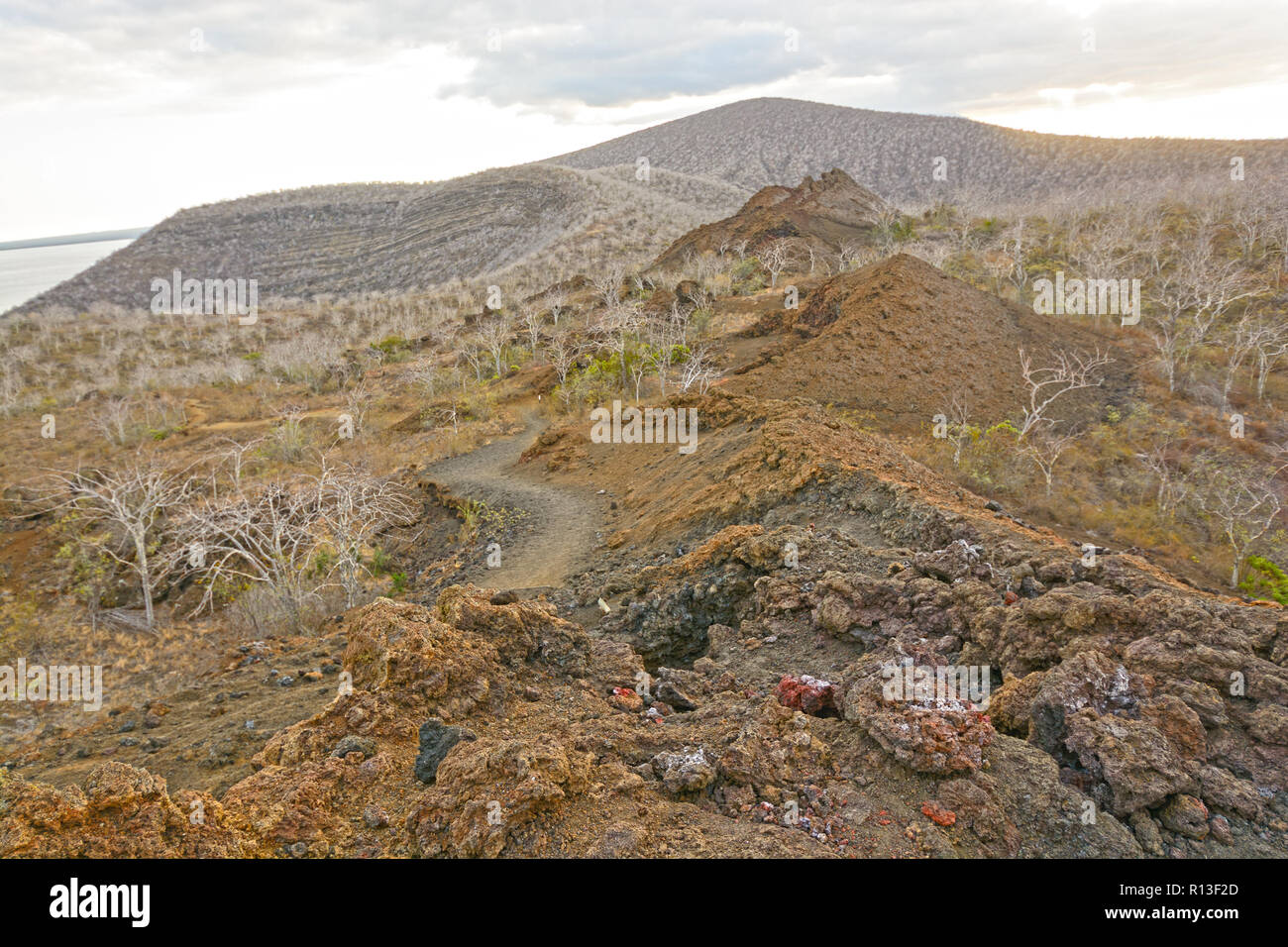 Spatter Cones and Volcanic Rock on Isabella Island in the Galapagos