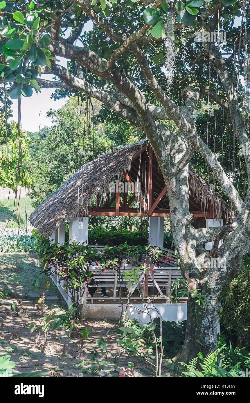 Traditional gazebo roofed in palm tree mountains to enjoy the cool breeze and landscape, Dominican Republic, Santiago Stock Photo