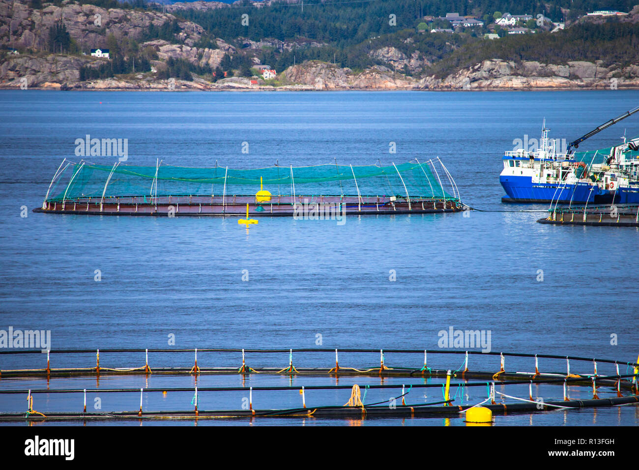 Salmon fish farm near Bergen, Norway Stock Photo Alamy