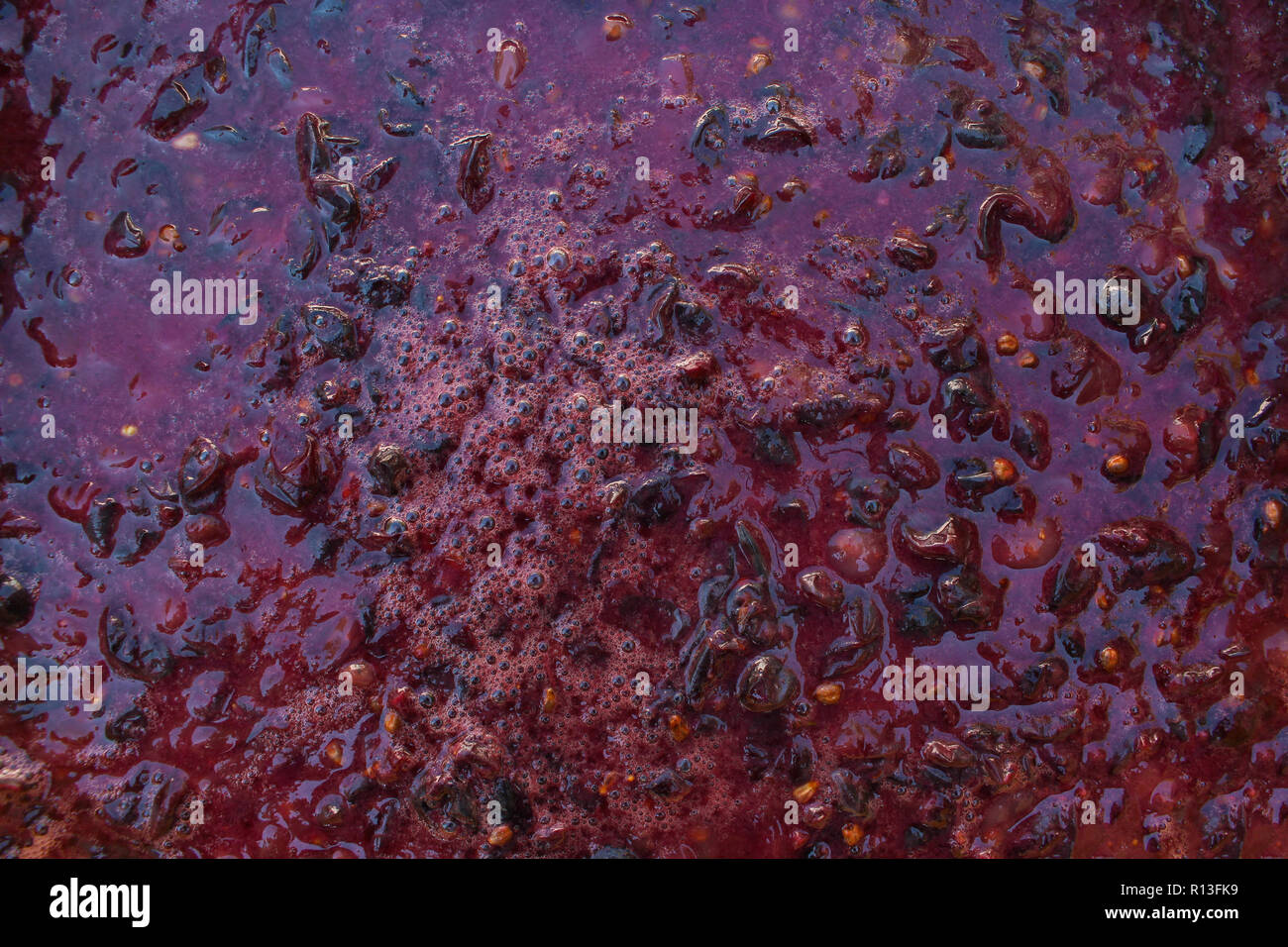 Concept of making homemade red wine Stock Photo Alamy