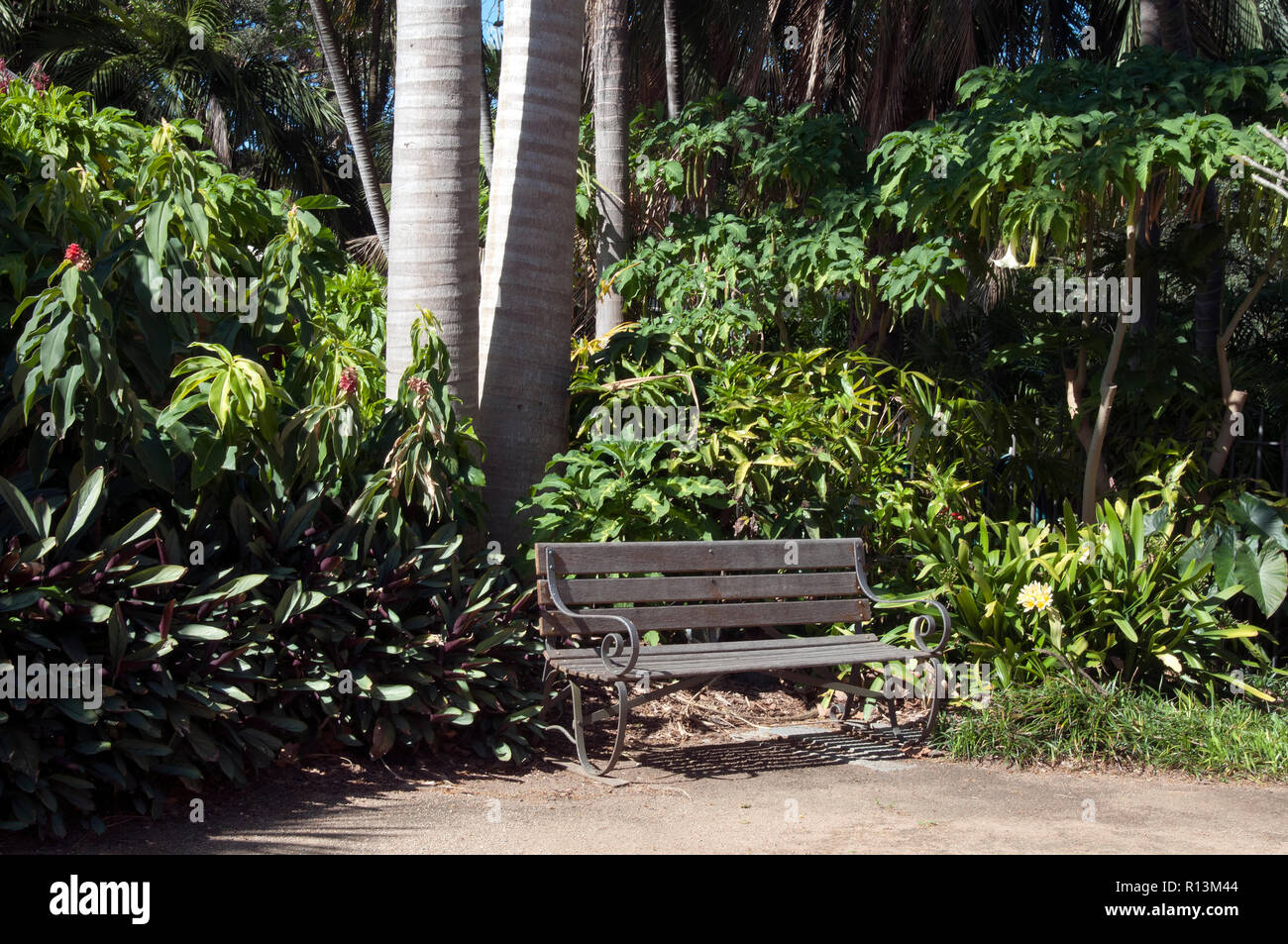 Sydney Australia Wooden Seat In Corner Of Garden On A Sunny
