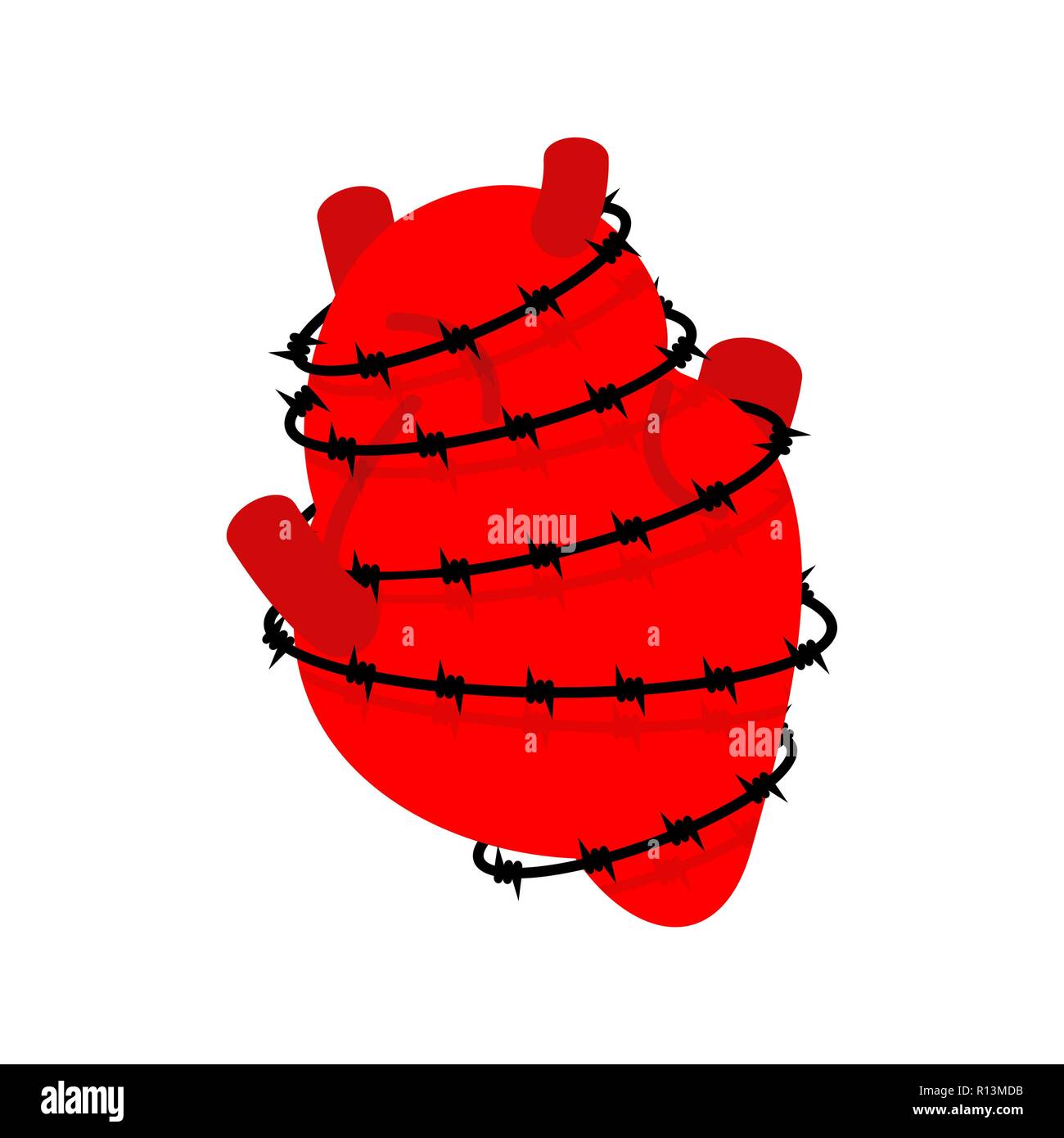 Heart and barbed wire. Sick Internal organs Human anatomy. Metaphor of