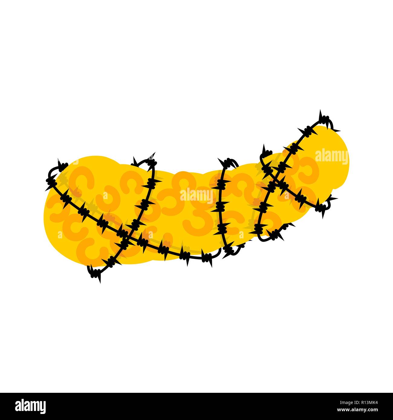 Pancreas and barbed wire. Sick Internal organs Human anatomy. Metaphor of problems and reduced health. pain medical health care concept Stock Vector