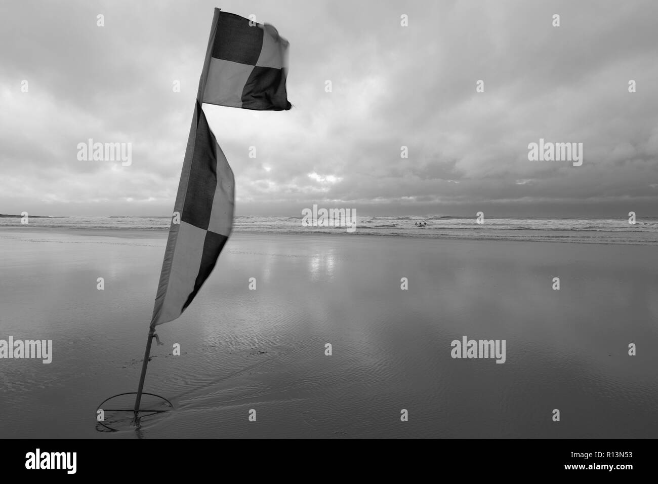 Croyde Bay beach North Devon in windy weather showing lifeguard flags in foreground in black and white Stock Photo