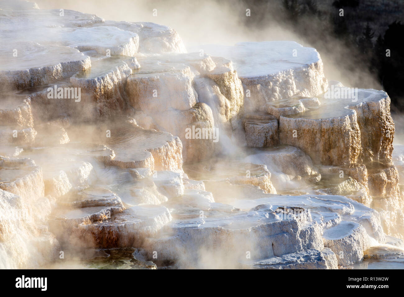 WY03560-00...WYOMING - Upper Terraces of Mammoth Hot Springs in Yellowstone National Park. Stock Photo