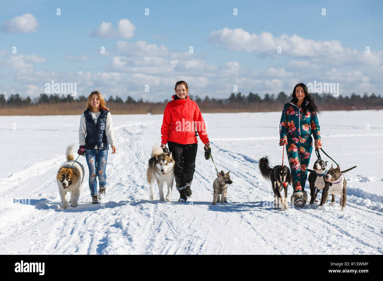 Three happy girls owners playing with their dogs in winter nature Stock ...