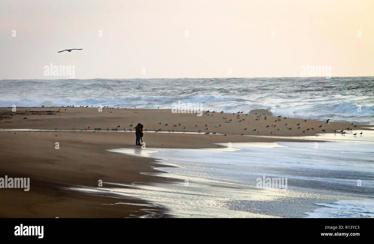 Young couple embrace at the beach near the water with seagull flying by. Ocean, Clear Day. Stock Photo