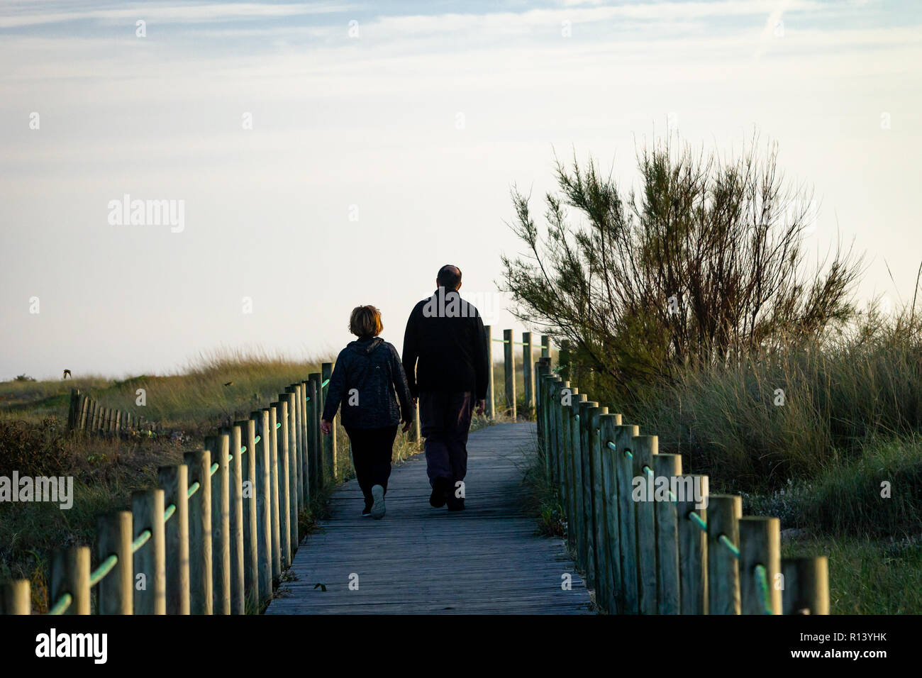 Middle-Aged couple walks on boardwalk amidst vegetation. Back View. Stock Photo
