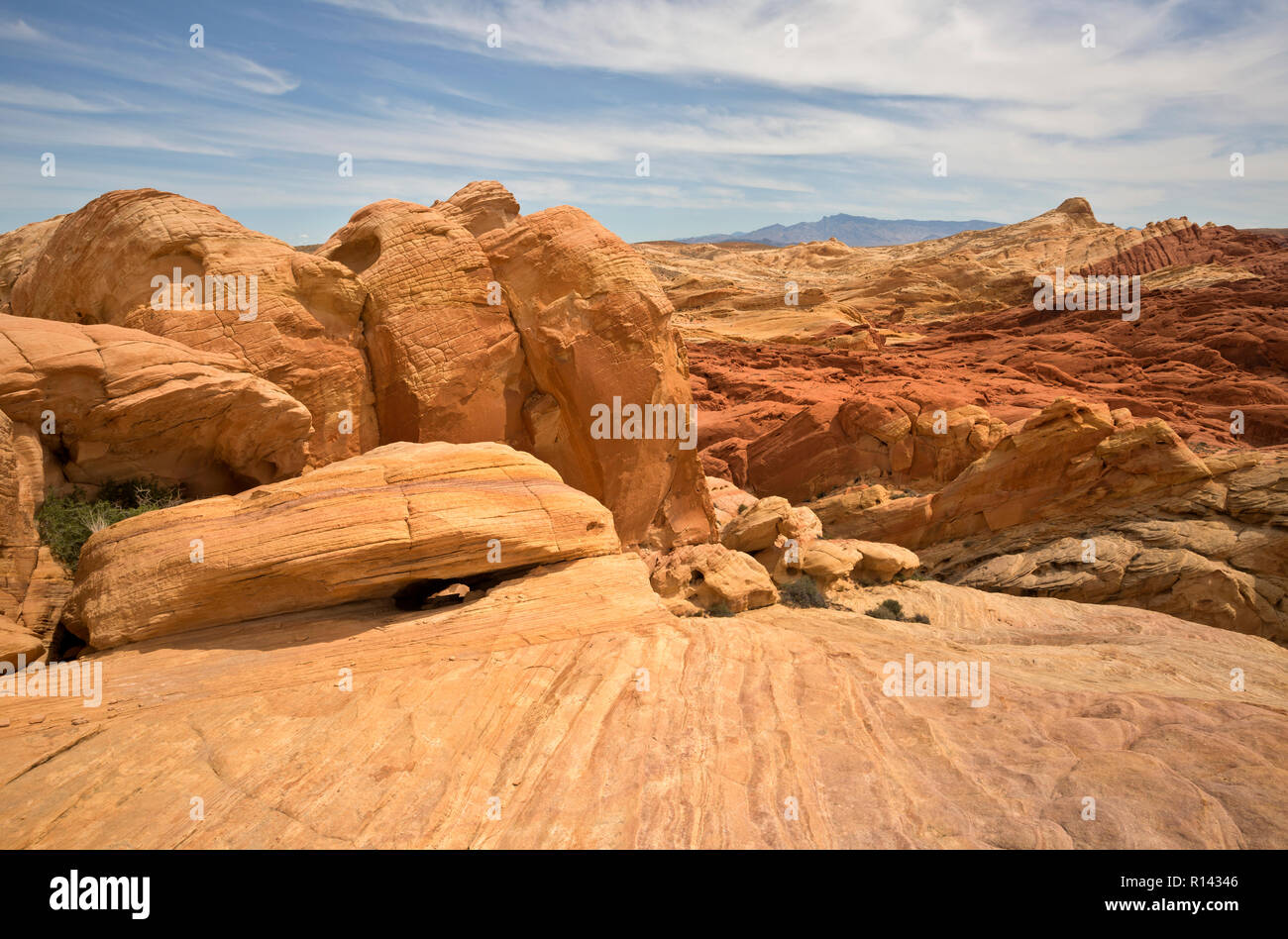 NV00113-00...NEVADA - View from the Rainbow Vista area into the Fire Canyon at Valley of Fire State Park. Stock Photo