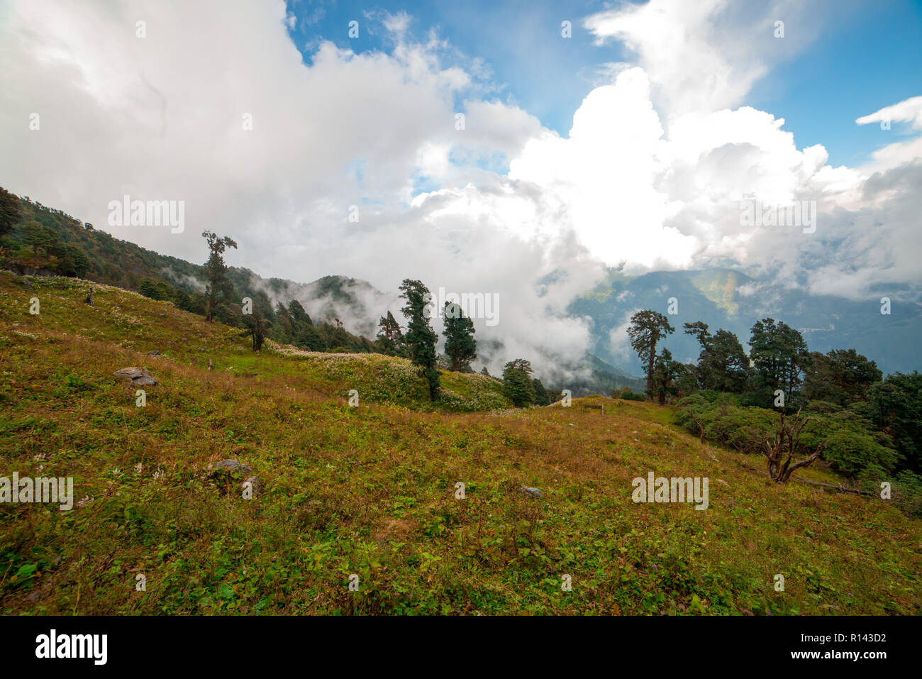 View From Khaliya Top Trek in Munsyari, Uttarakhand, India Stock Photo ...