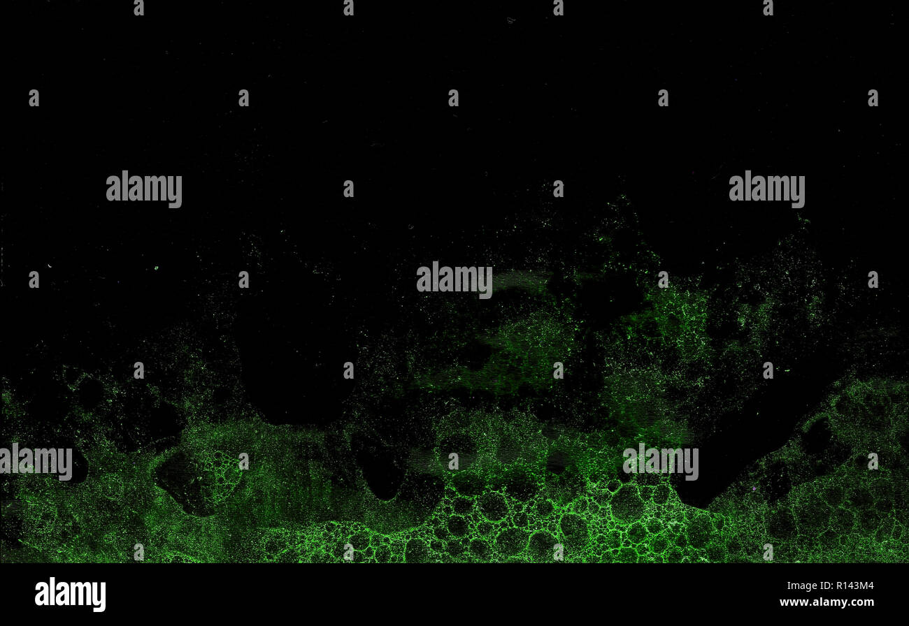 Abstract grunge cellular background against black Stock Photo