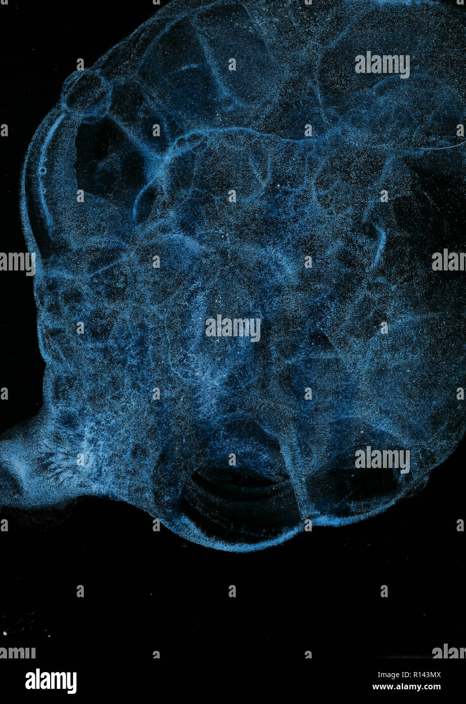 Abstract grunge cellular background against black Stock Photo