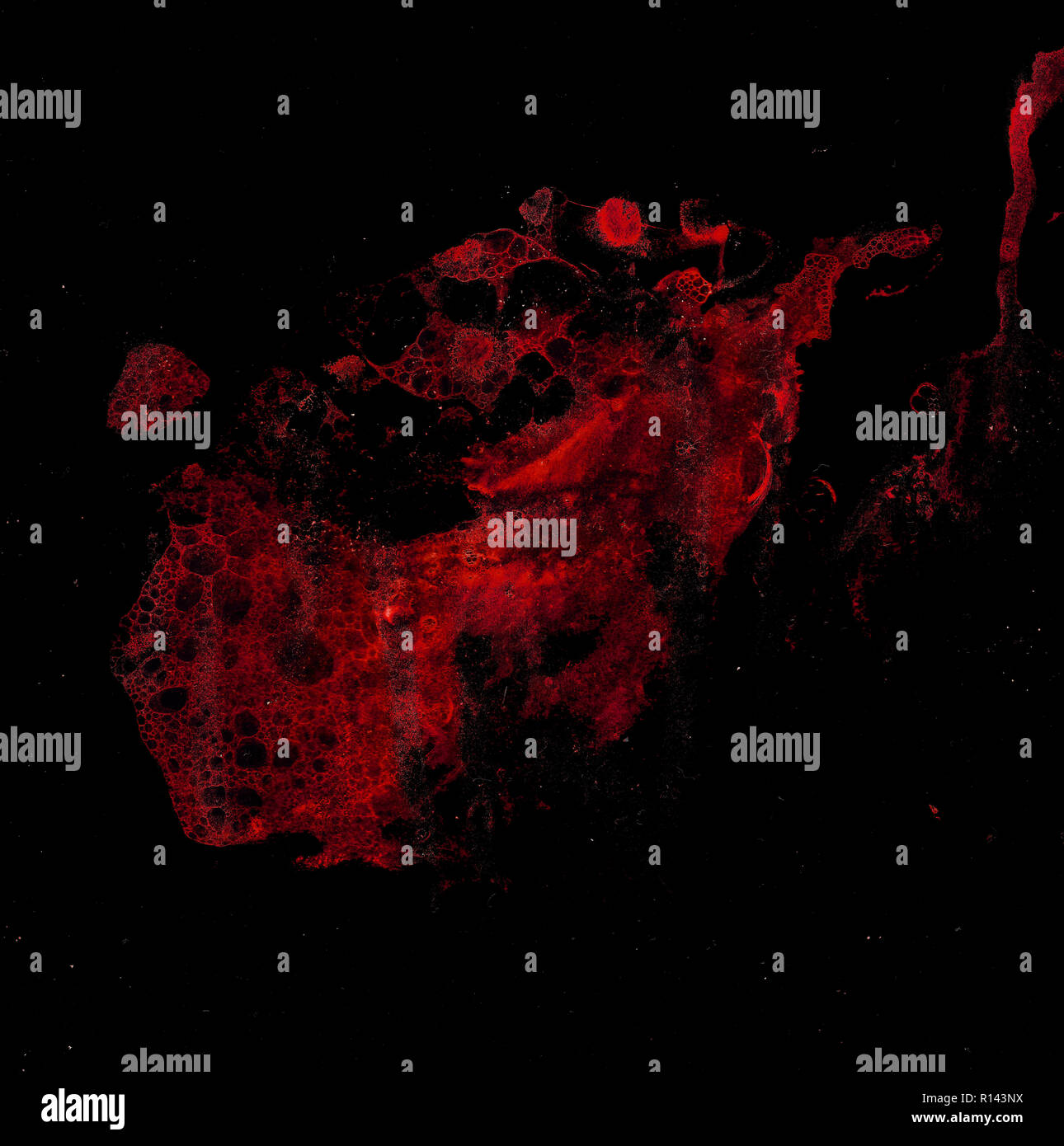 Abstract grunge cellular background against black Stock Photo