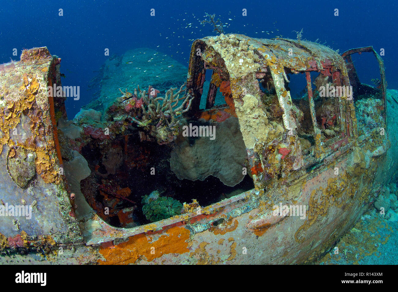 Overgrown cockpit of a american Zerofighter, crashed at WW II, Palau, Micronesia Stock Photo