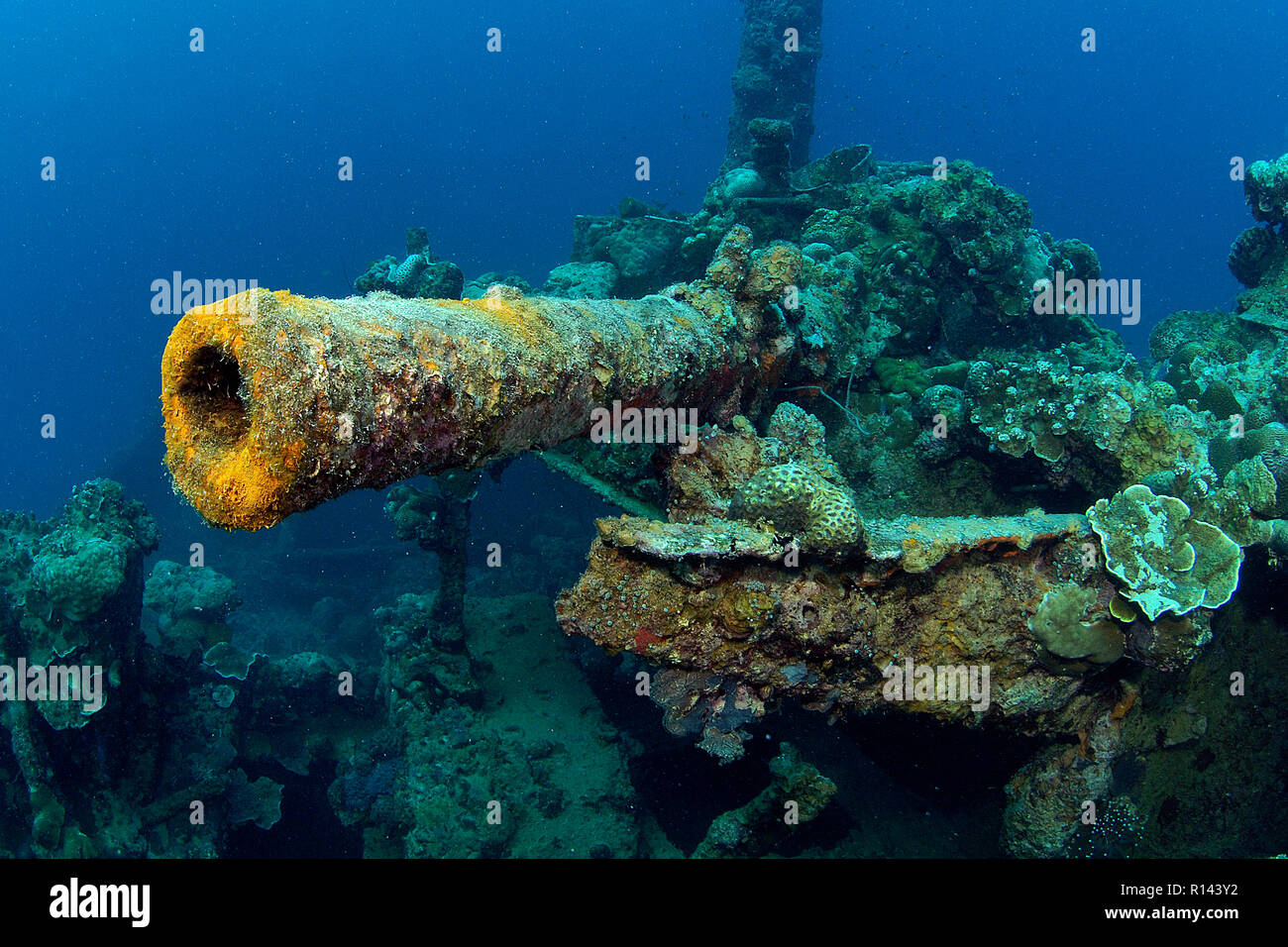 Gun on shipwreck Teshio Maru, WW II, Palau, Micronesia Stock Photo