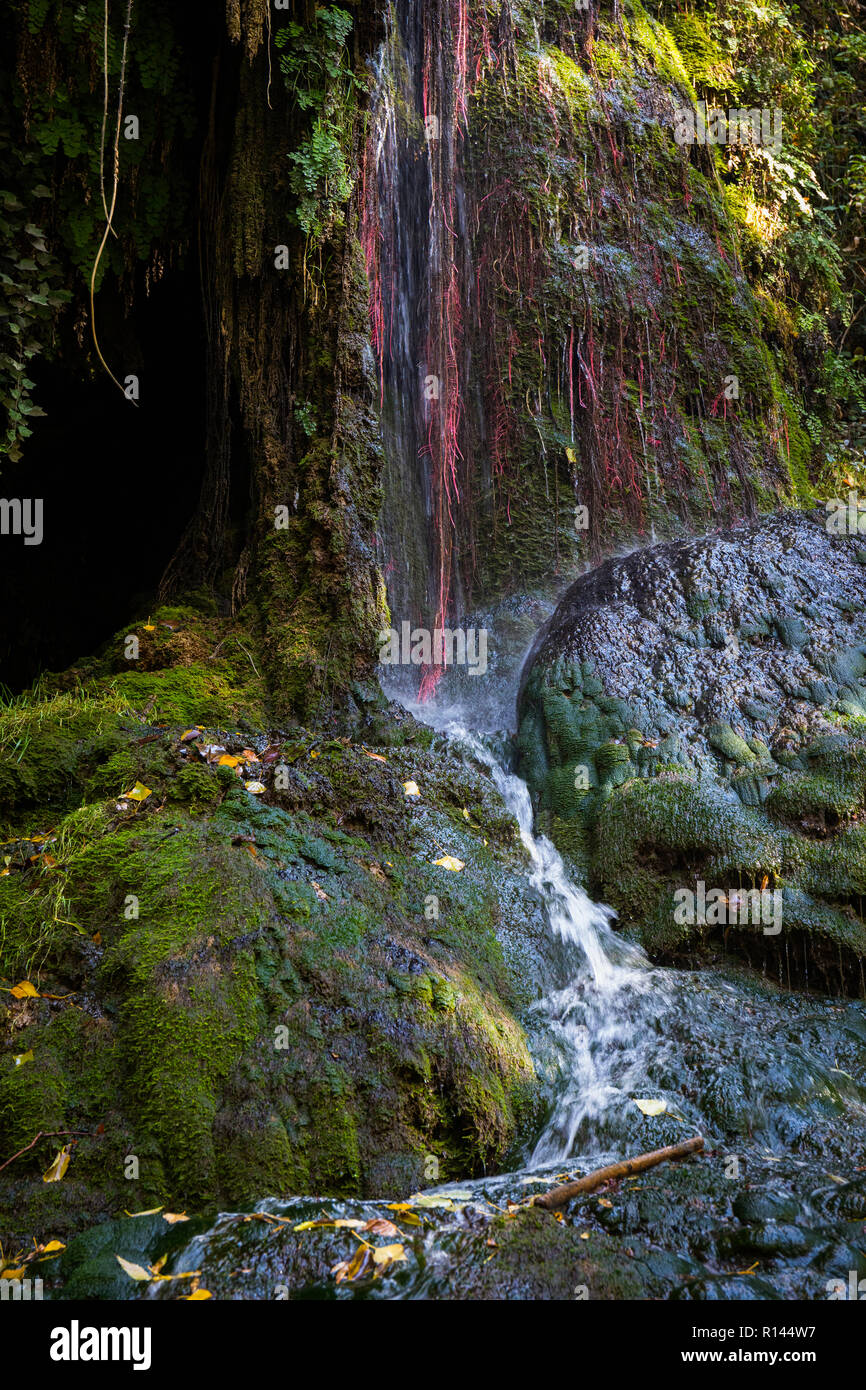 Parque Natural del Monasterio de Piedra, Zaragoza Province, Aragon, Spain.  Detail of water and plants. Stock Photo