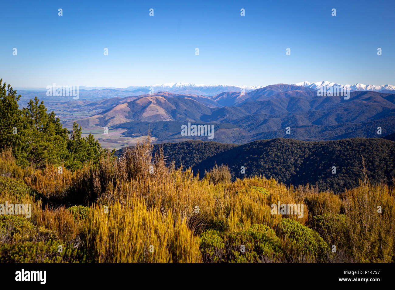 The view from the Mt Thomas hiking track of the mountain range in winter, New Zealand Stock Photo