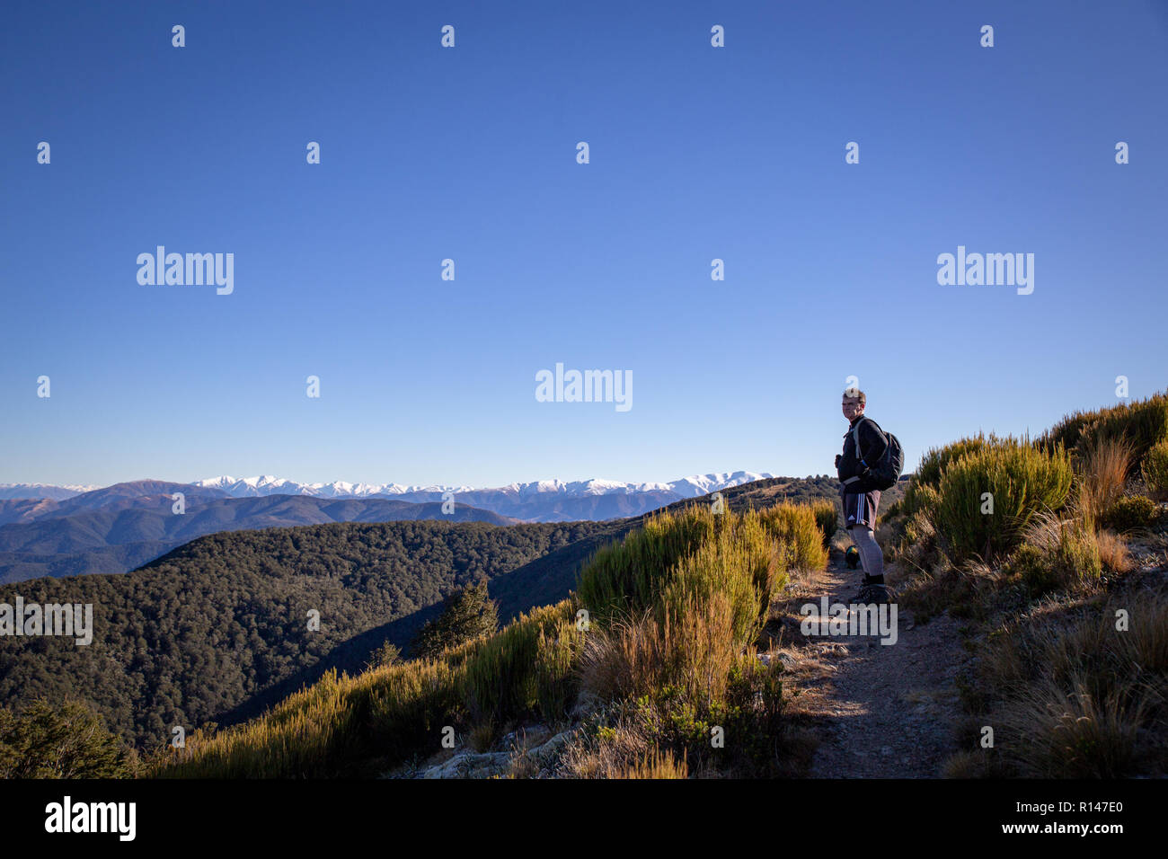 A man stops to enjoy the view while hiking in the hills in New Zealand Stock Photo