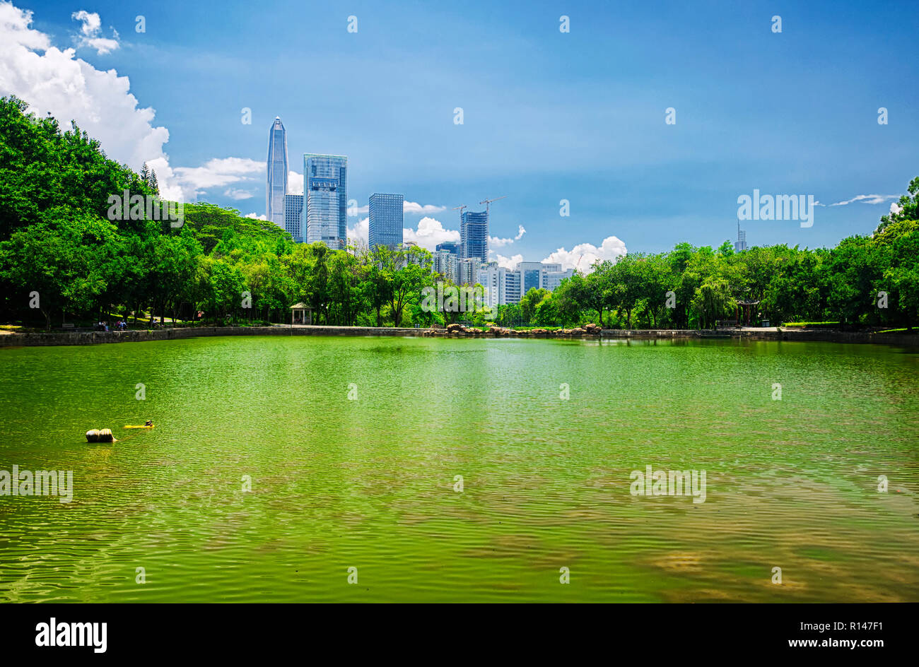 The shenzhen city skyline in the background of a manmade lake inside of Lianhuashan park in Shenzhen china on a sunny blue sky day. Stock Photo