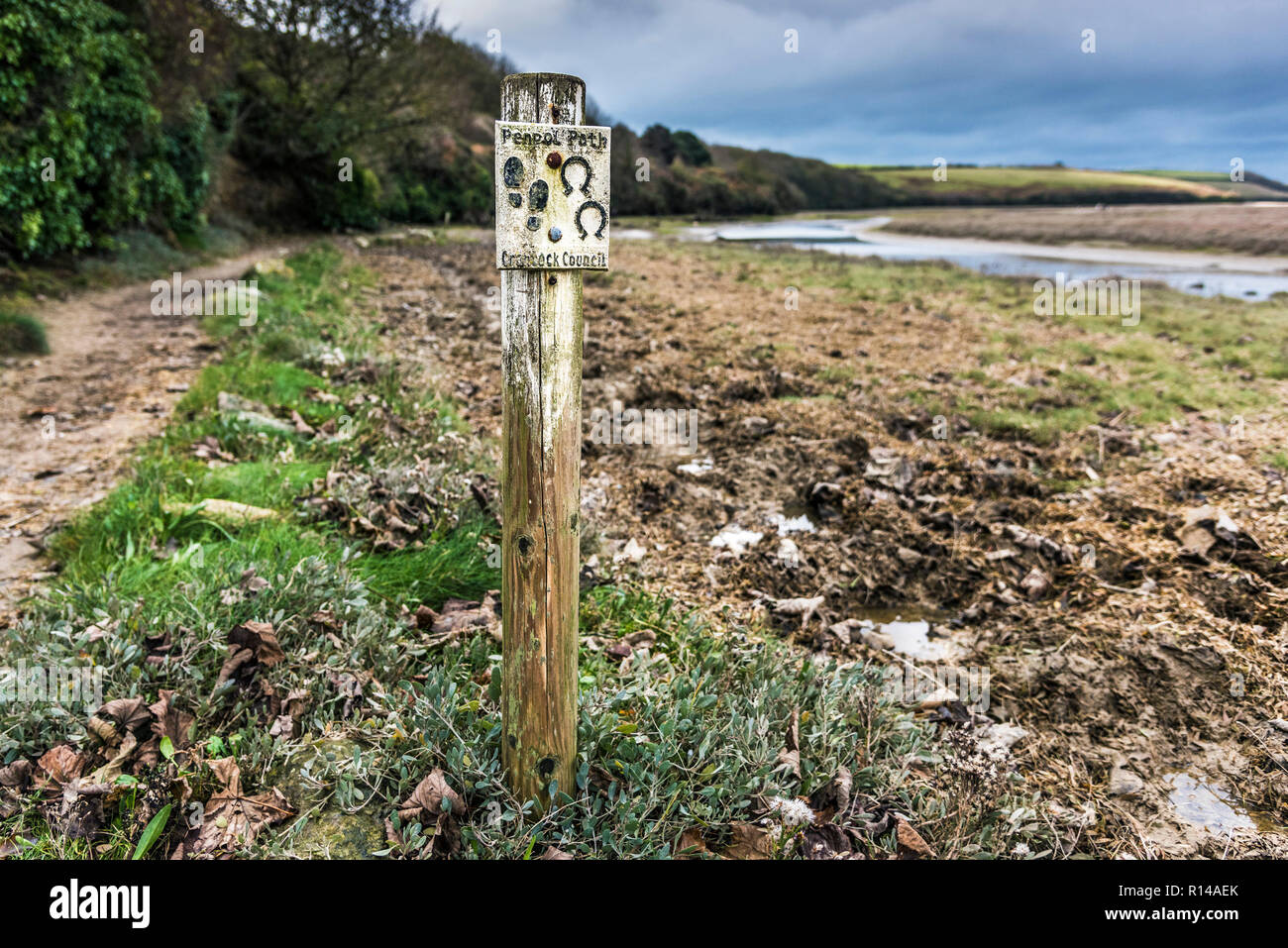 The Penpol footpath bridle path bridleway on the bank of the Gannel River in Newquay in Cornwall. Stock Photo