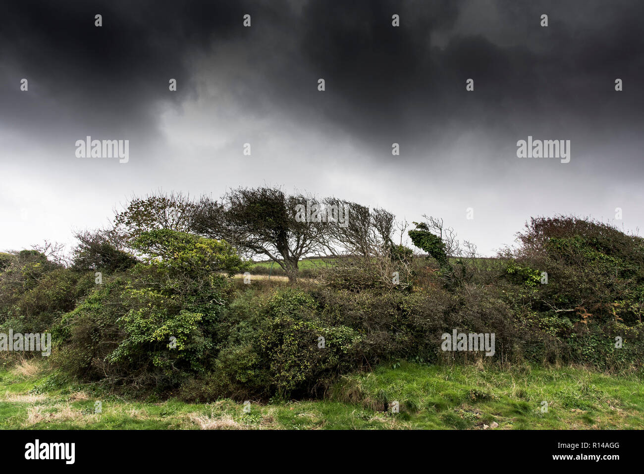 Rainclouds gathering over countryside in Newquay in Cornwall. Stock Photo