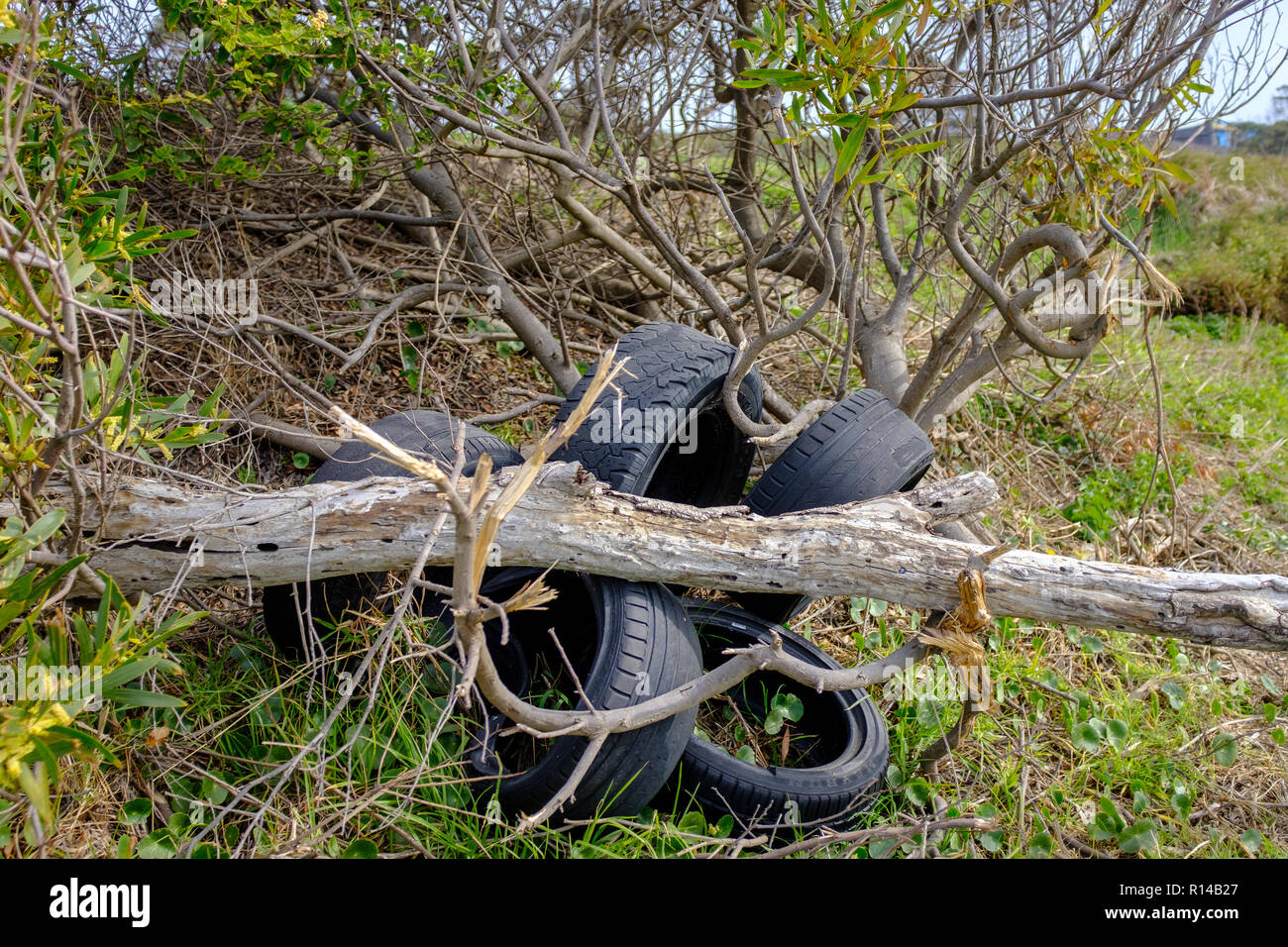 Long term environmental pollution the fly tipping of old tyres and rubbish dumped in the countryside Stock Photo