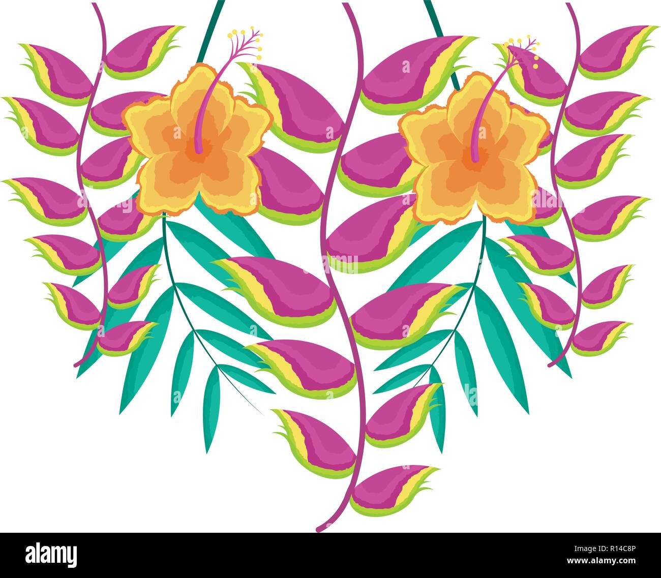 hibiscus flower and heliconia leaves tropical vector illustration Stock ...