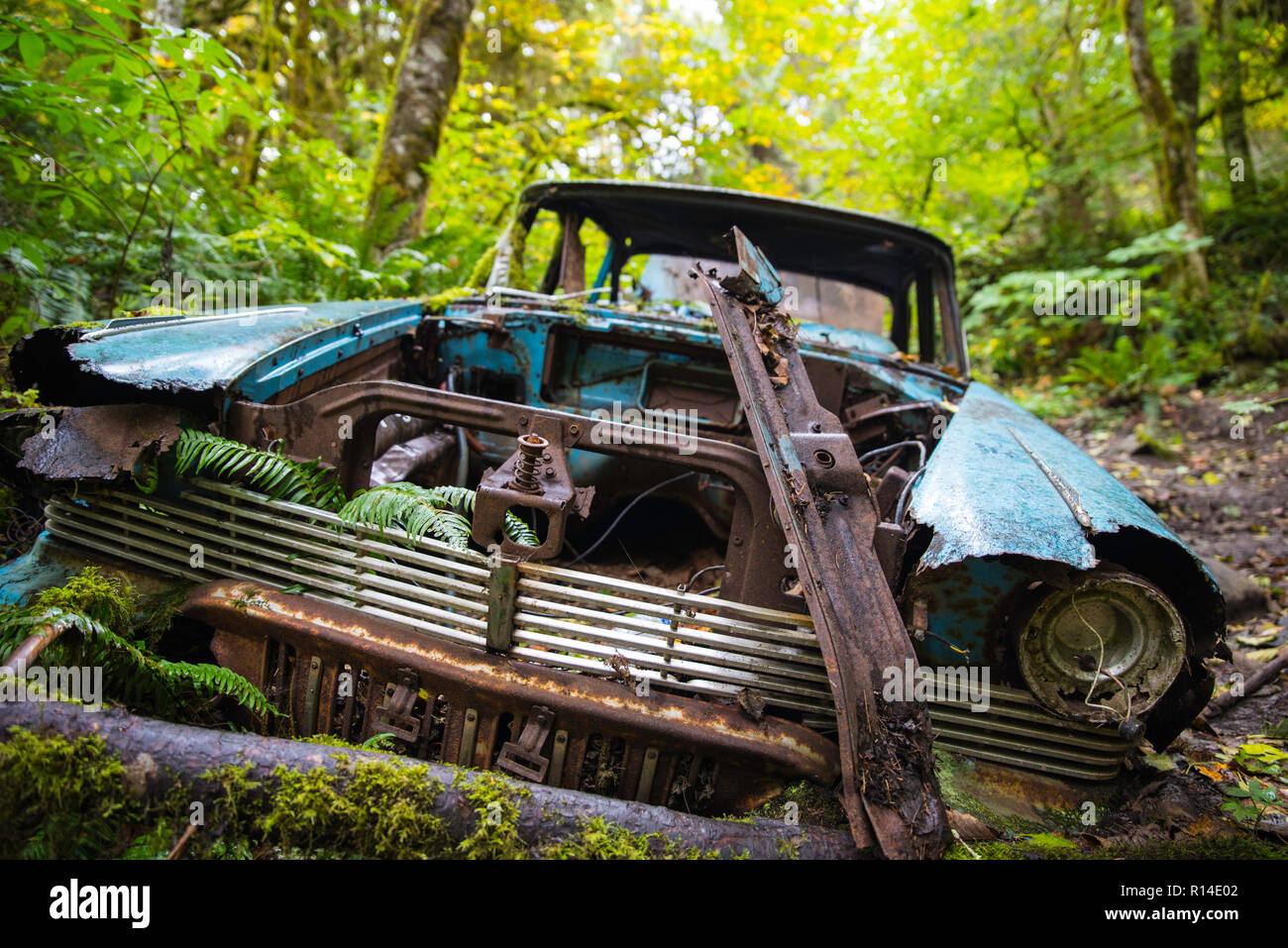 Old cars abandoned in wood hi-res stock photography and images - Alamy