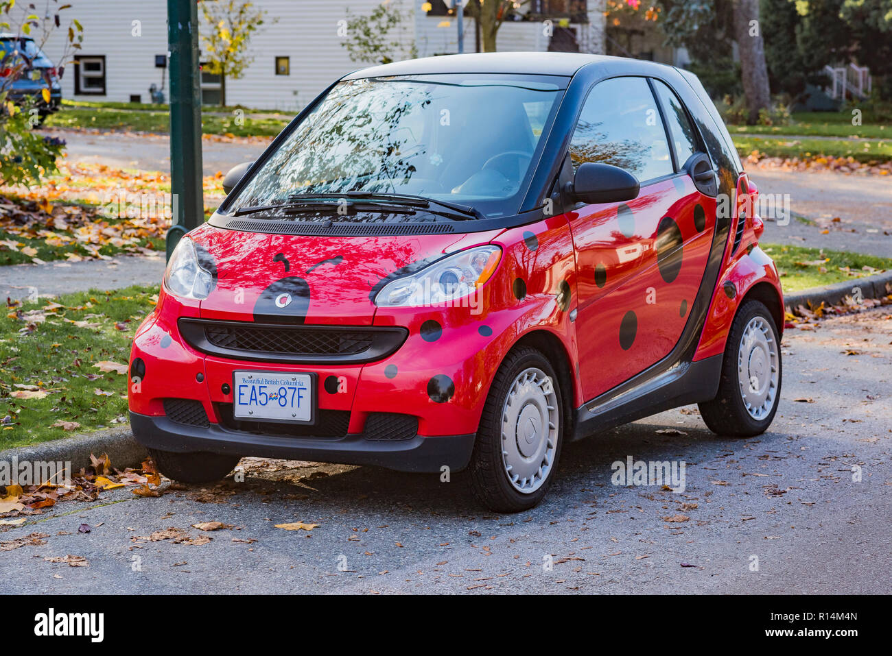 Smart car painted like ladybug, lady beetle Stock Photo