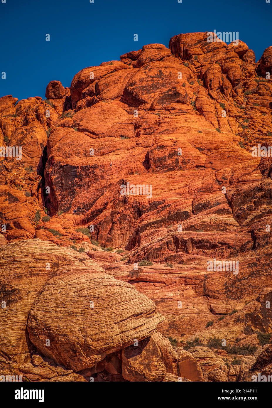Red Rock Canyon. Stock Photo