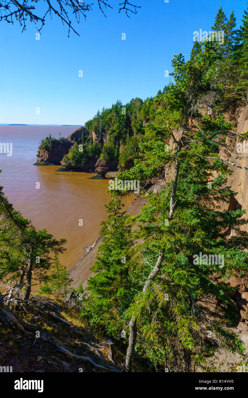 View of tide rising in Hopewell Rocks, New Brunswick, Canada Stock