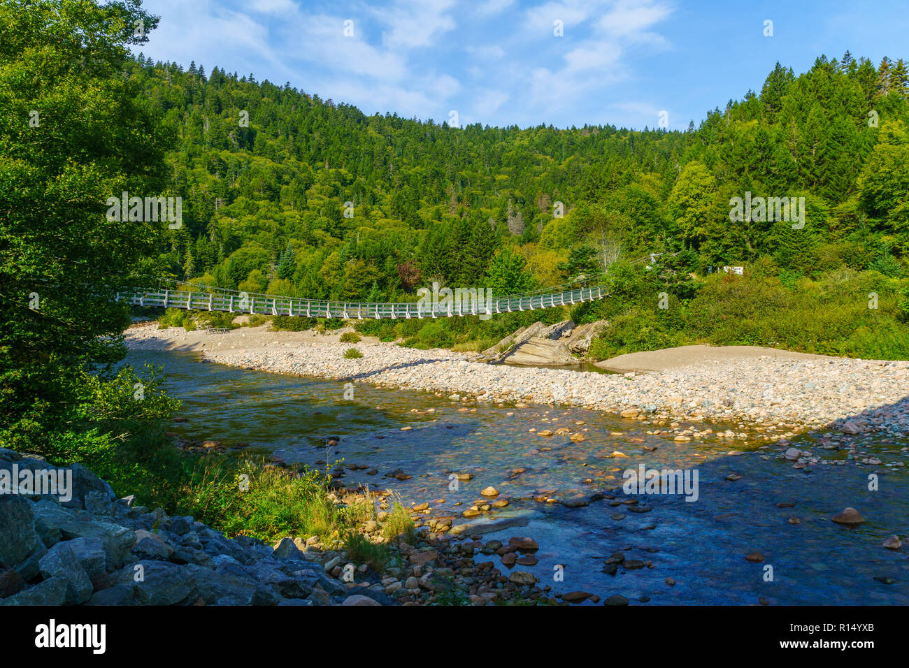 View of the suspension bridge of Big Salmon River, in Fundy Trail