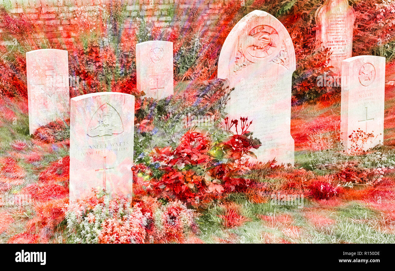 Military graves in churchyard in UK - surrealism, overlaid with red poppies giving effect of spilt blood world war armistice remembering remembrance Stock Photo