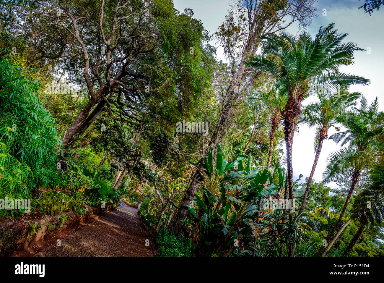 Arboretum Botanischer Garten Funchal Madeira Portugal Stock