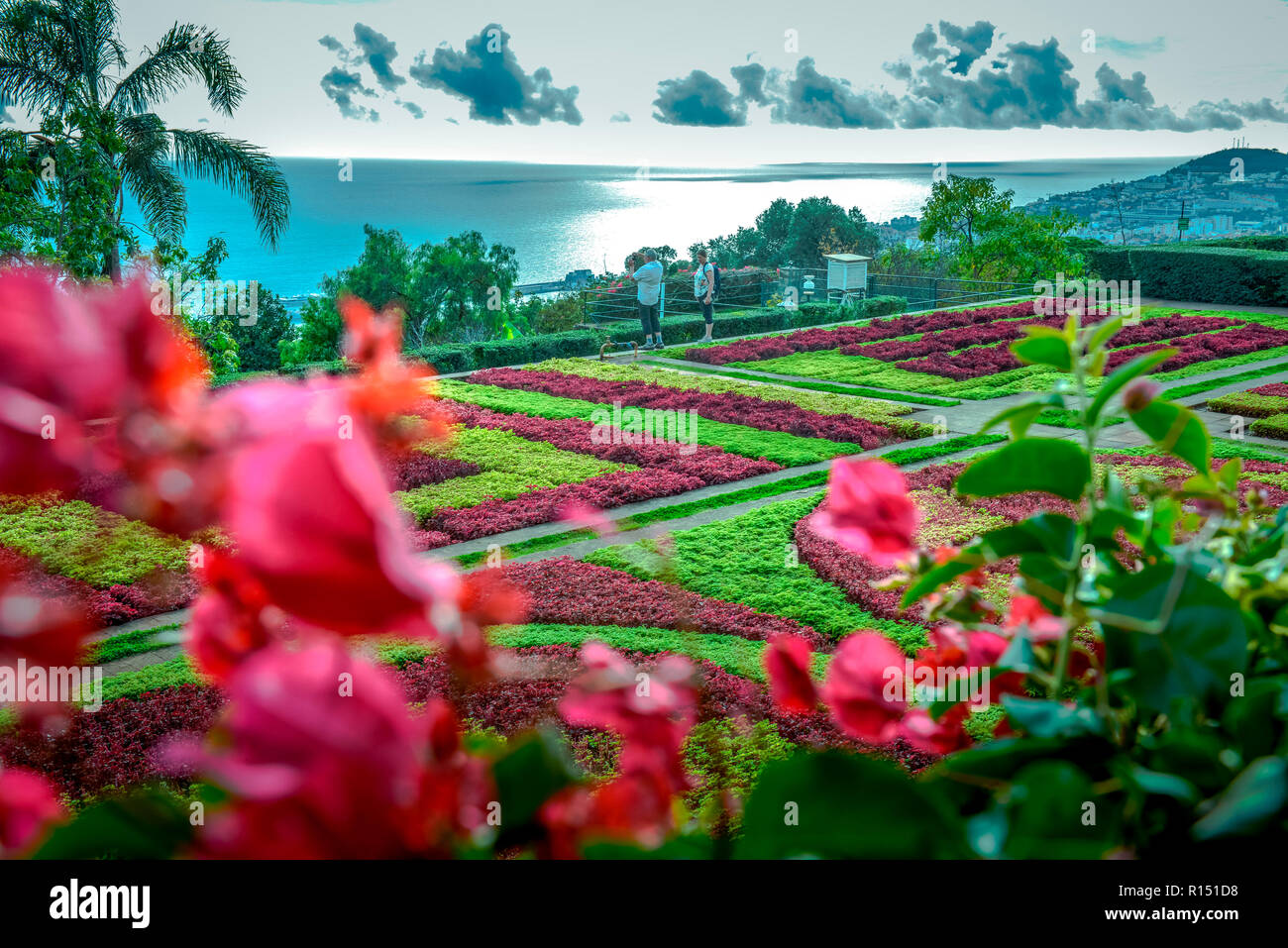 Blumenbeete Botanischer Garten Funchal Madeira Portugal Stock
