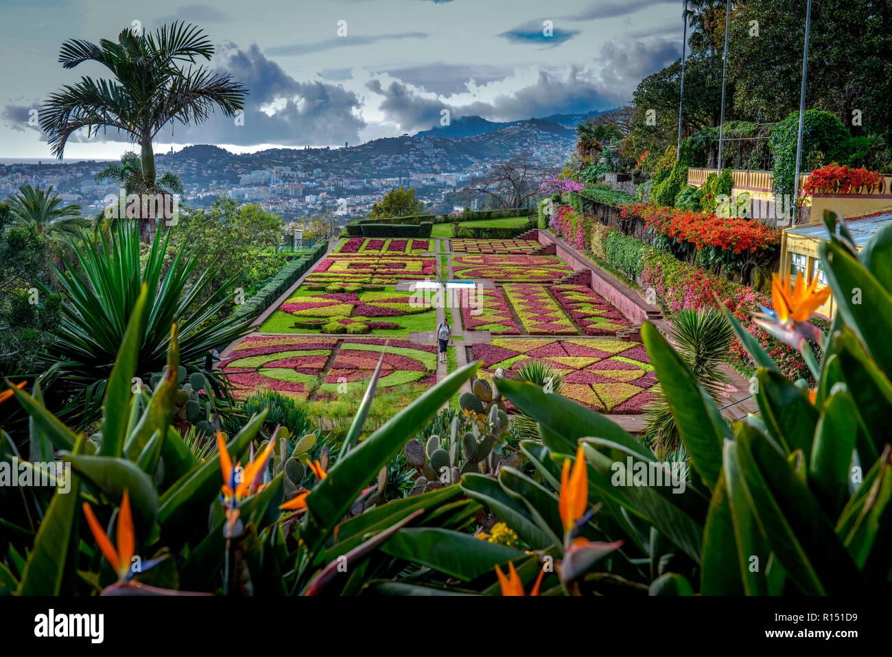 Botanischer garten funchal madeira hires stock photography and images