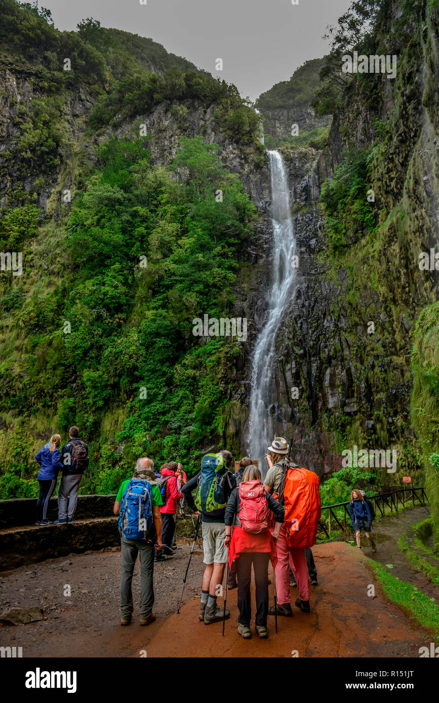 Risco Wasserfall, Rabacal-Tal, Zentralgebirge, Madeira, Portugal Stock Photo