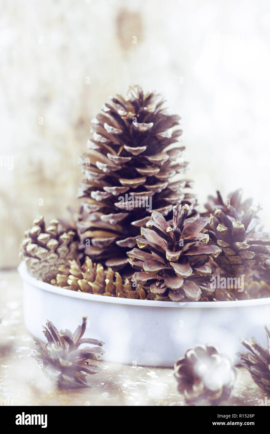 bowl with pine cones decorations for winter holidays with painted swon Stock Photo