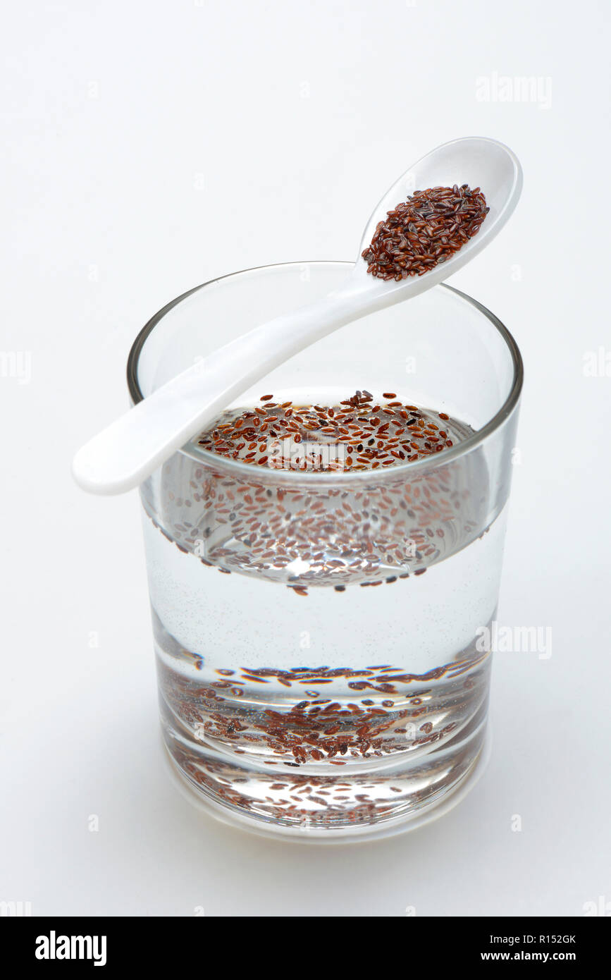 Glas Wasser und Loeffel mit Flohsamen, Sandwegerich, Plantago psyllium Stock Photo