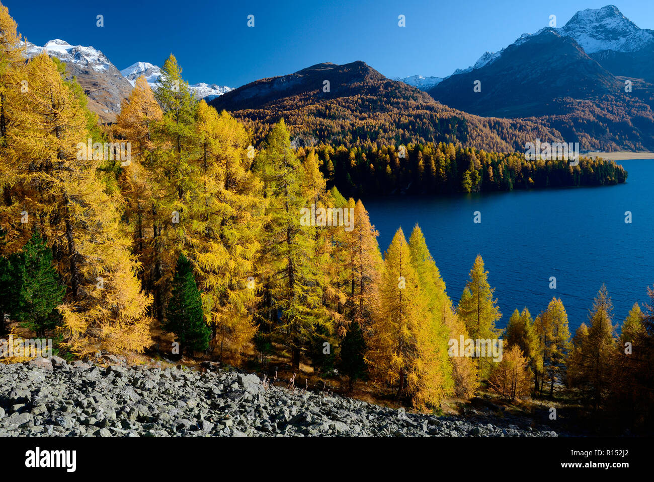 Silsersee und Piz da la Margna, Oberengadin, Engadin, Schweiz, Europa Stock Photo