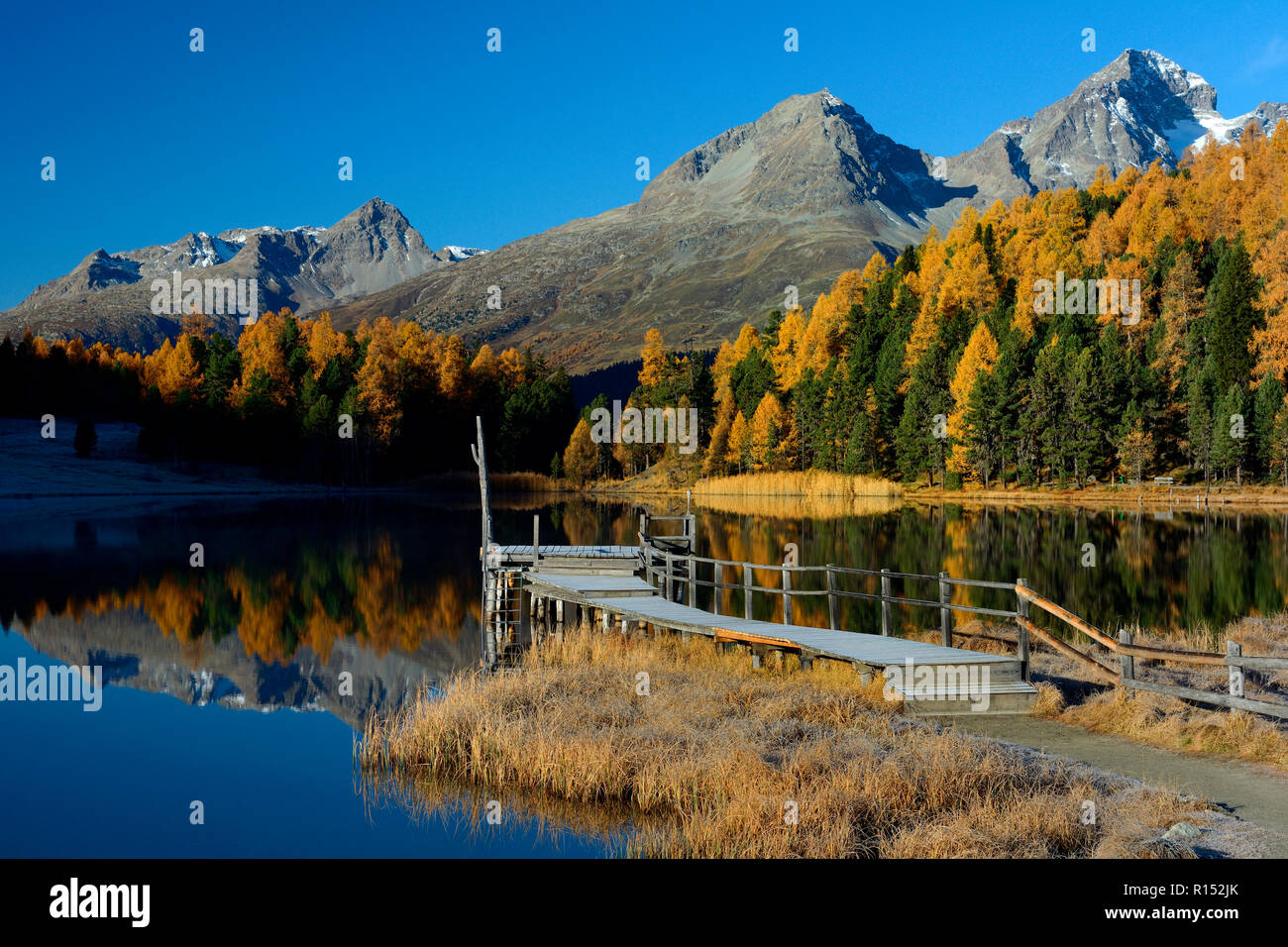 Stazer See bei St. Moritz, Oberengadin, Engadin, Kanton Graubuenden, Schweiz, Europa, Lej da Staz Stock Photo