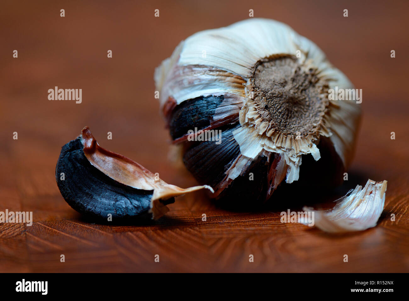 Black Garlic, Allium sativum Stock Photo