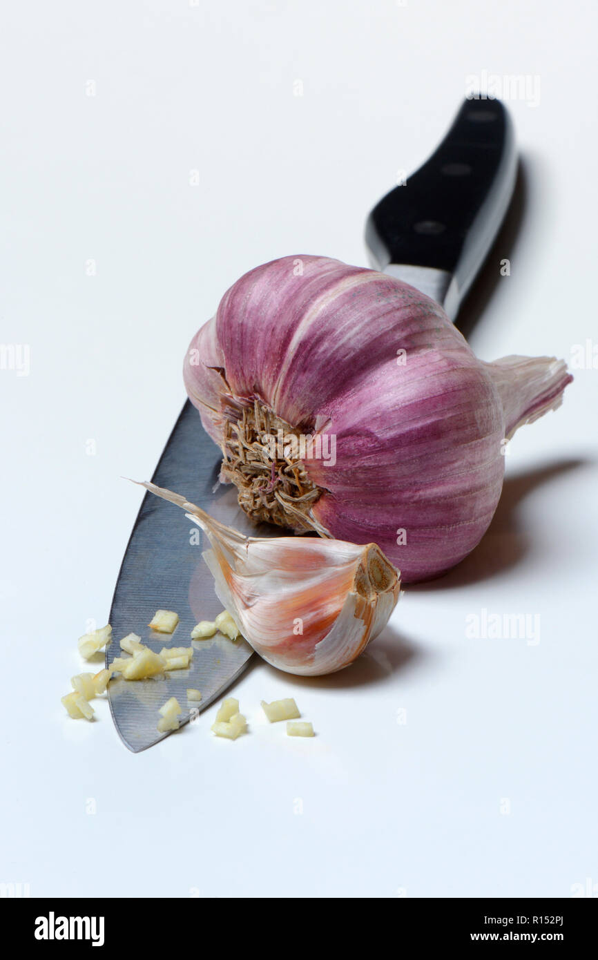 Knoblauchknolle High Resolution Stock Photography And Images Alamy