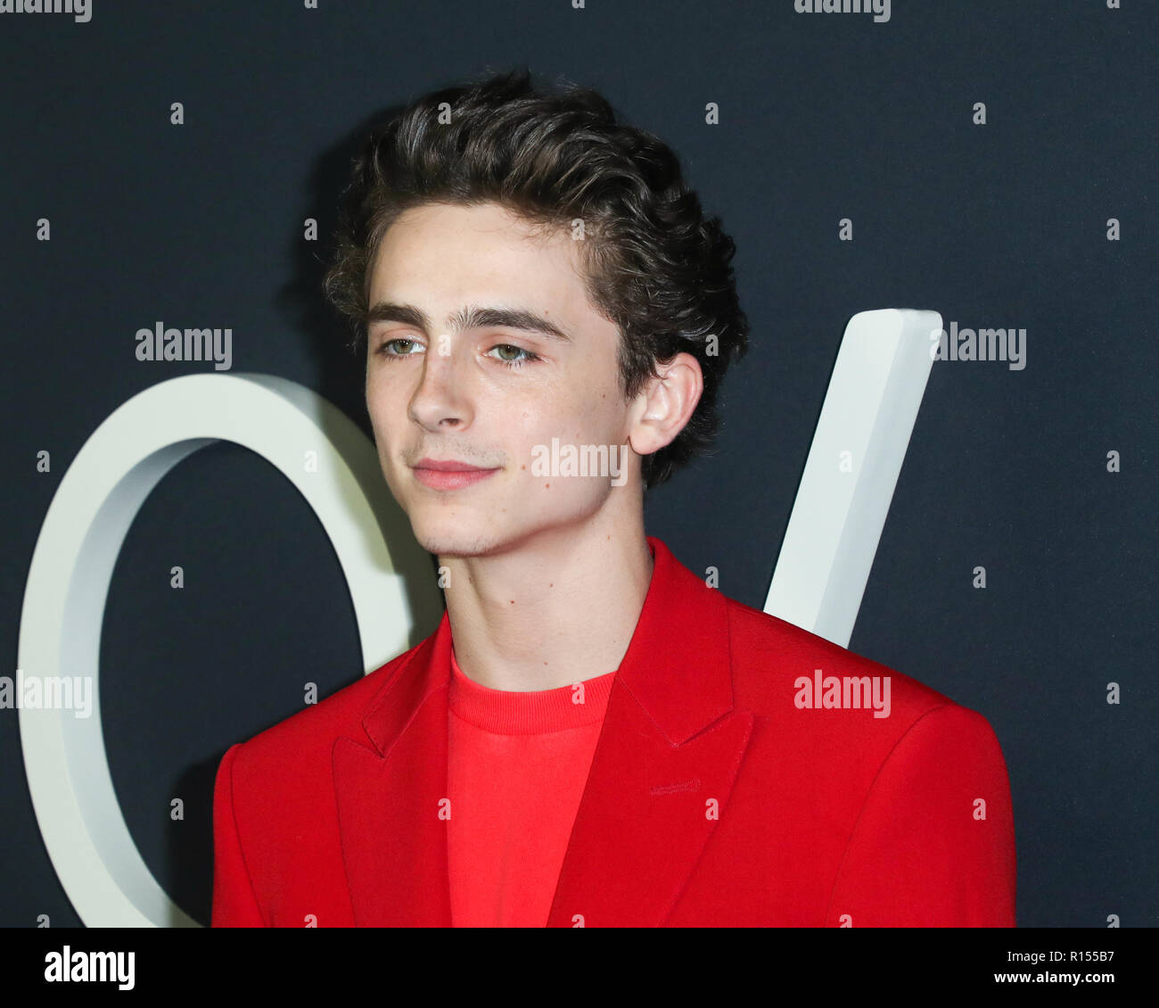 Timothee chalamet hi-res stock photography and images - Alamy