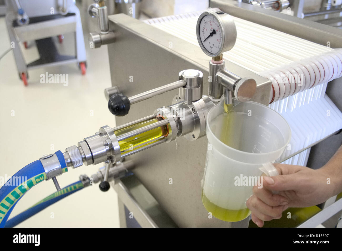 Ecological extra virgin olive oil production with modern technology